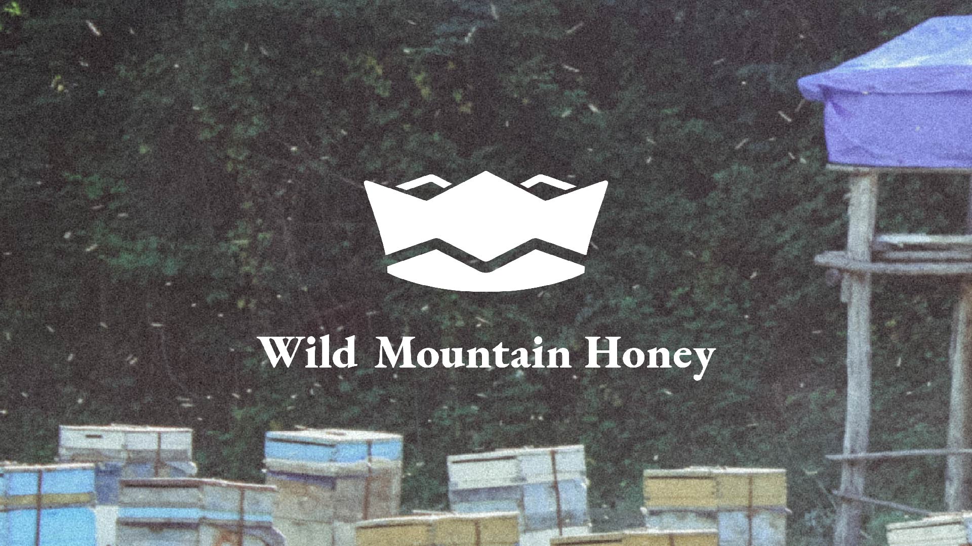 Wild Mountain Honey Rebrand